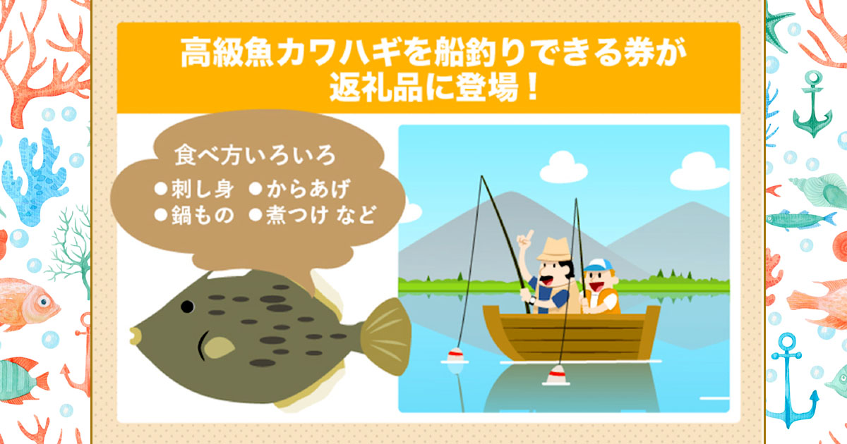 美味な高級魚を自分の手で釣ってみよう カワハギ釣り乗船券が三浦市の返礼品に