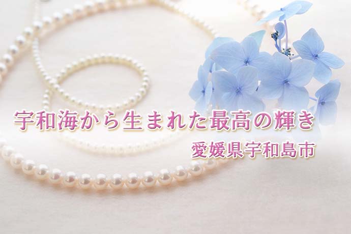 宇和島新品タグ付き愛媛パール本真珠ブローチです